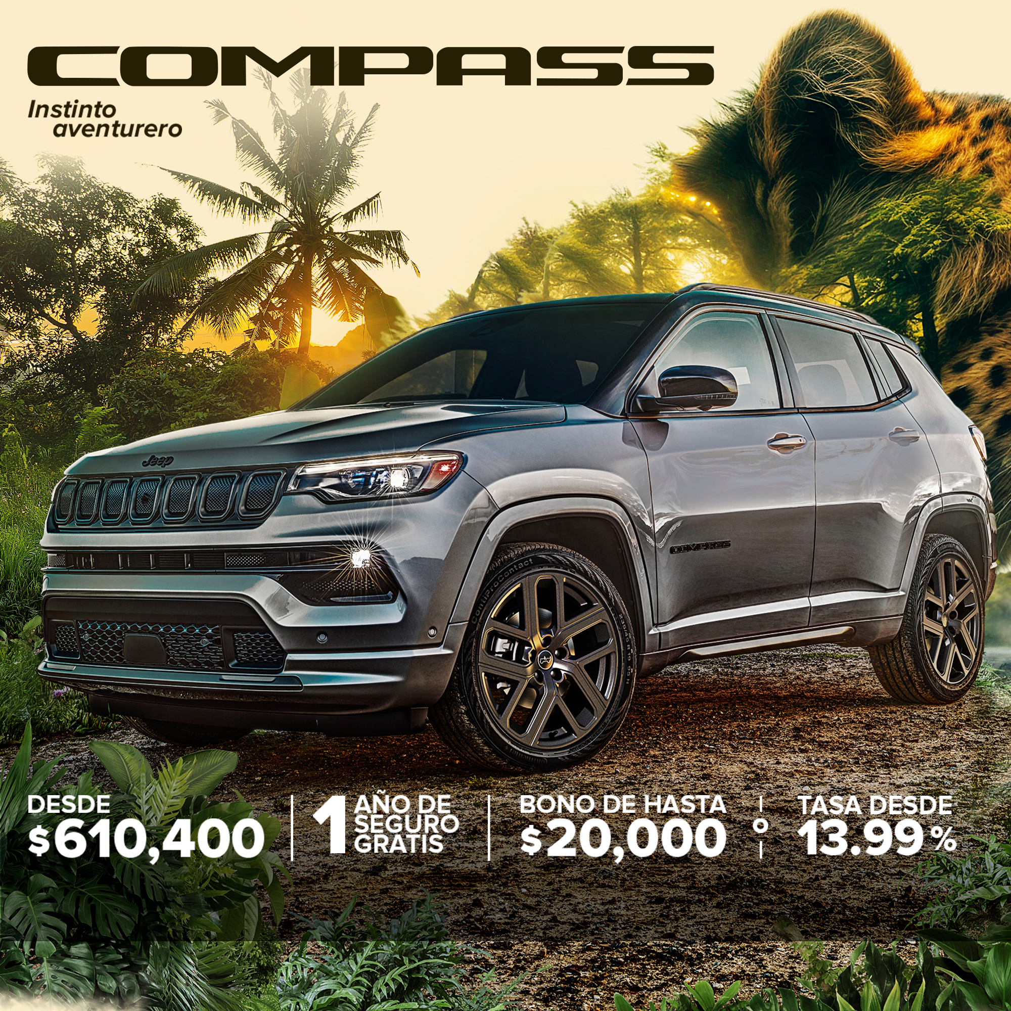Compass